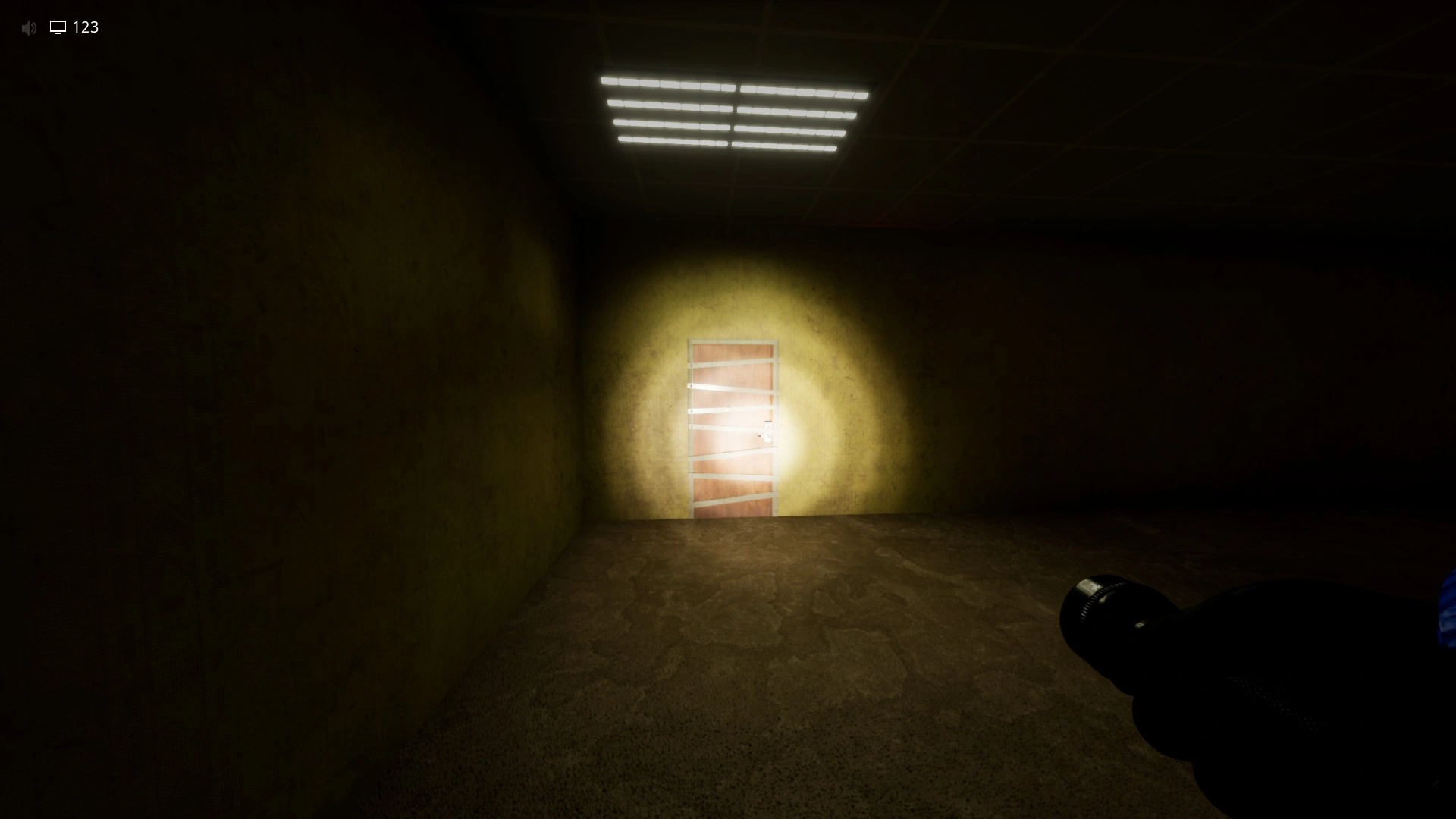 Door