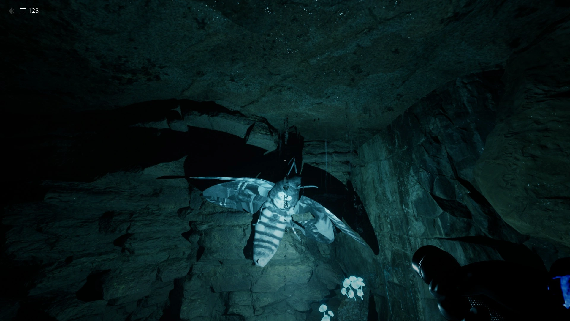 A Female Deathmoth that chases you if it hears you in the Cave System, Escape The Backrooms