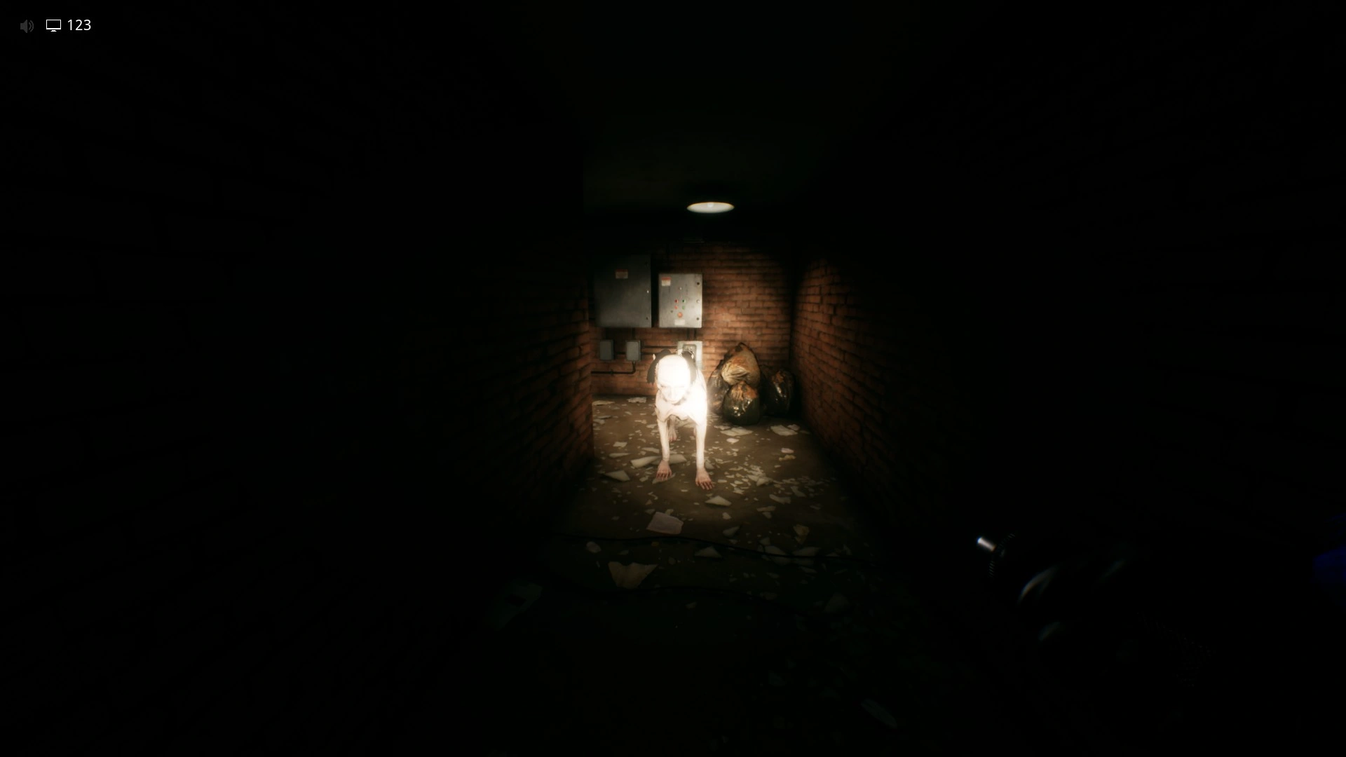Blinding a Hound with your flashlight in Electrical Station, Escape The Backrooms