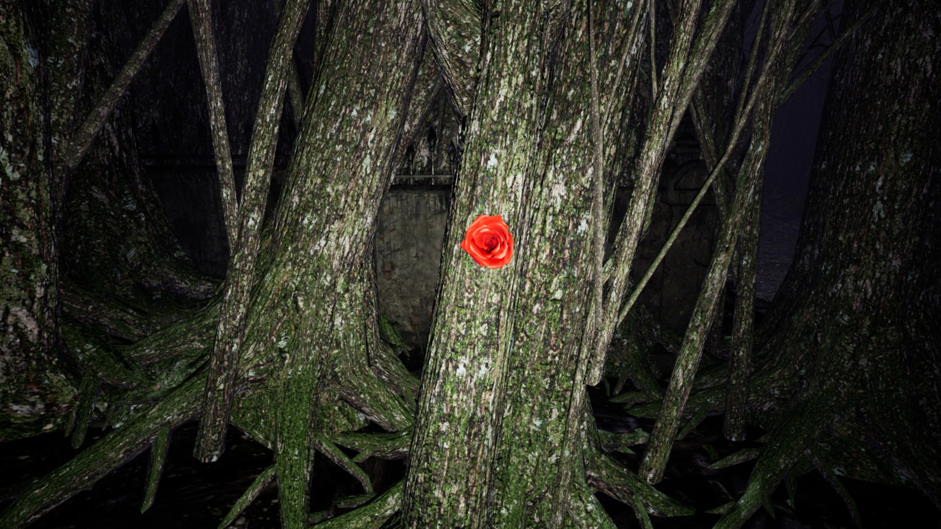 A rose that protects you from The Witch in Pacify Woods
