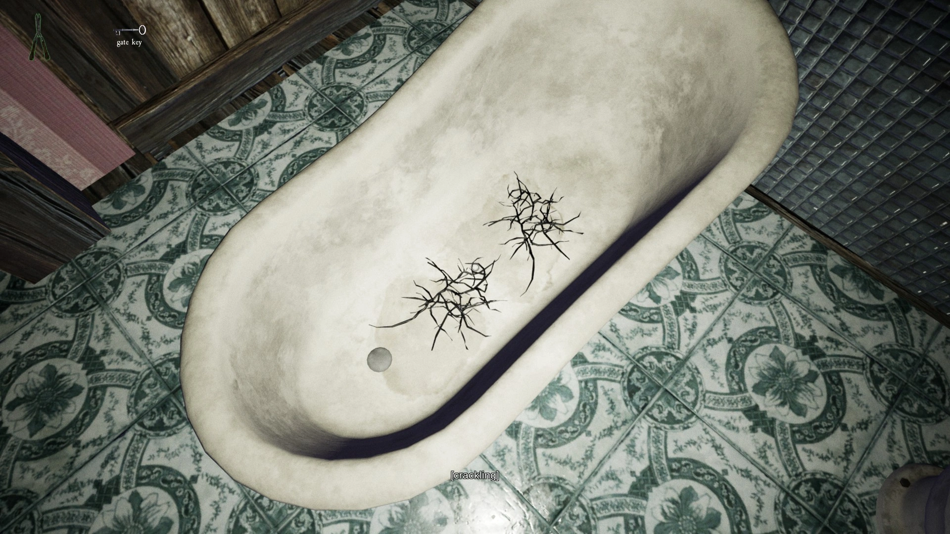 Witch's Hair, one of the three ritual items in Pacify Woods
